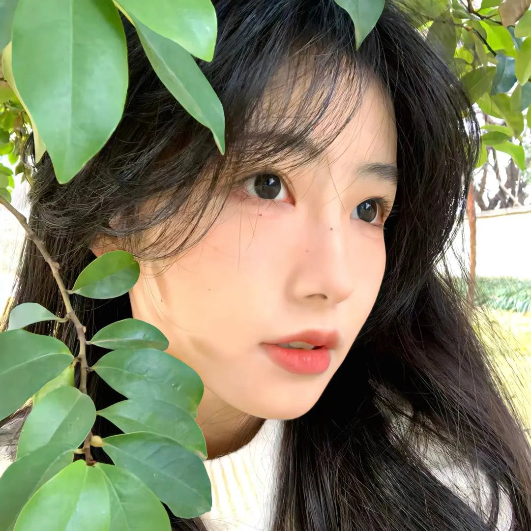 汤摇庄的幽奈同学